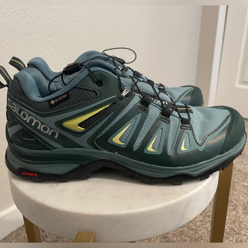 Salomon X Ultra Gore-Tex Hiking Shoes